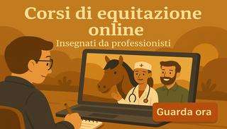 Corsi sul WEB