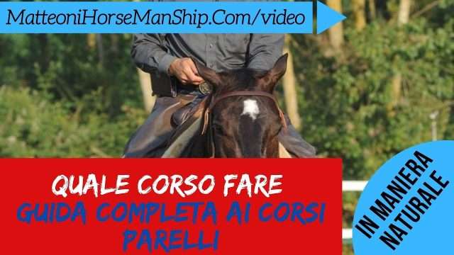 Quale corso fare