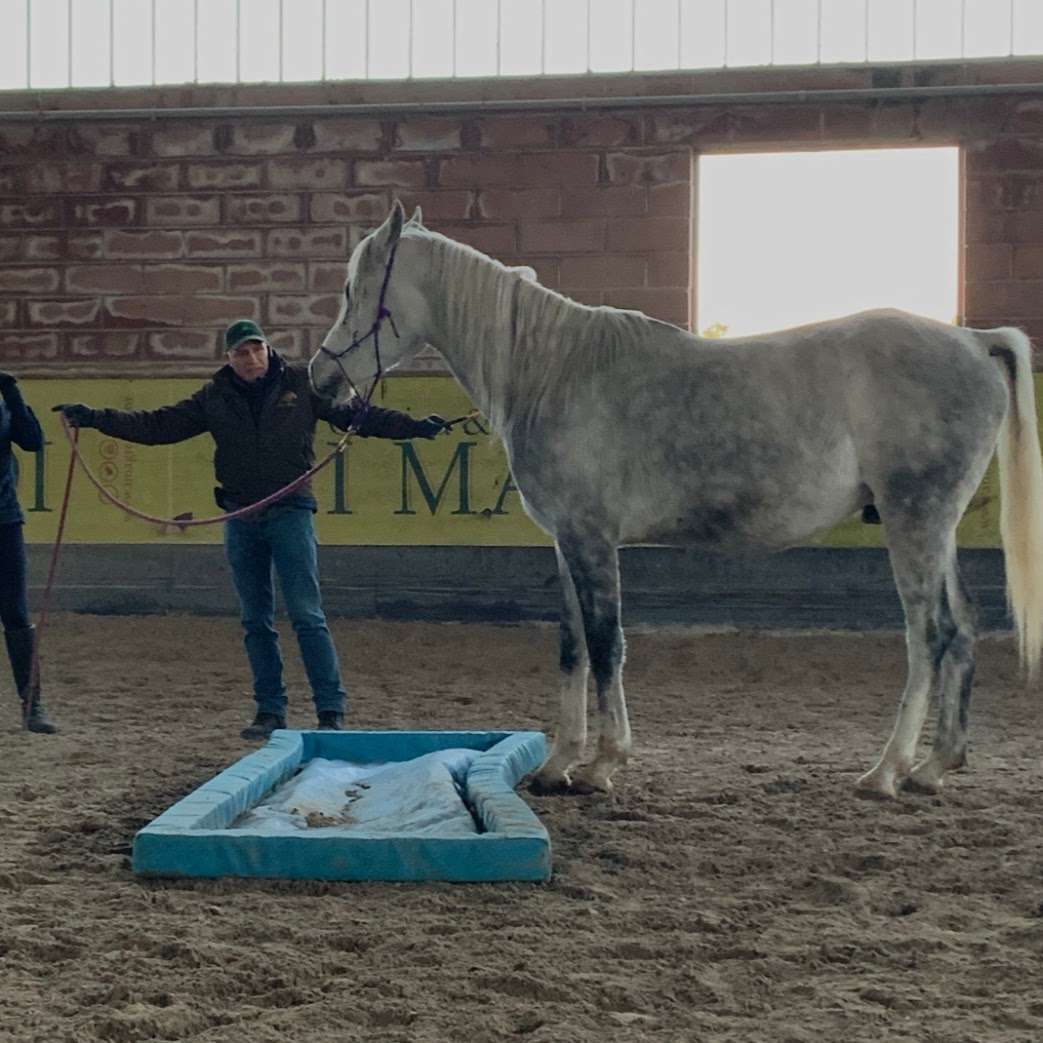 Sergio Matteoni con cavallo durante un corso