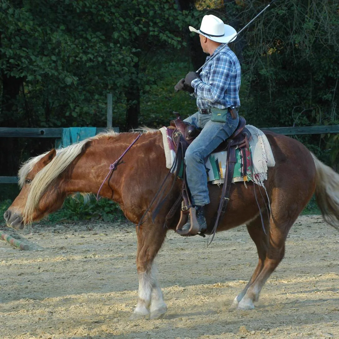 Sergio Matteoni cavalca senza redini, con la sola cordina al collo del cavallo