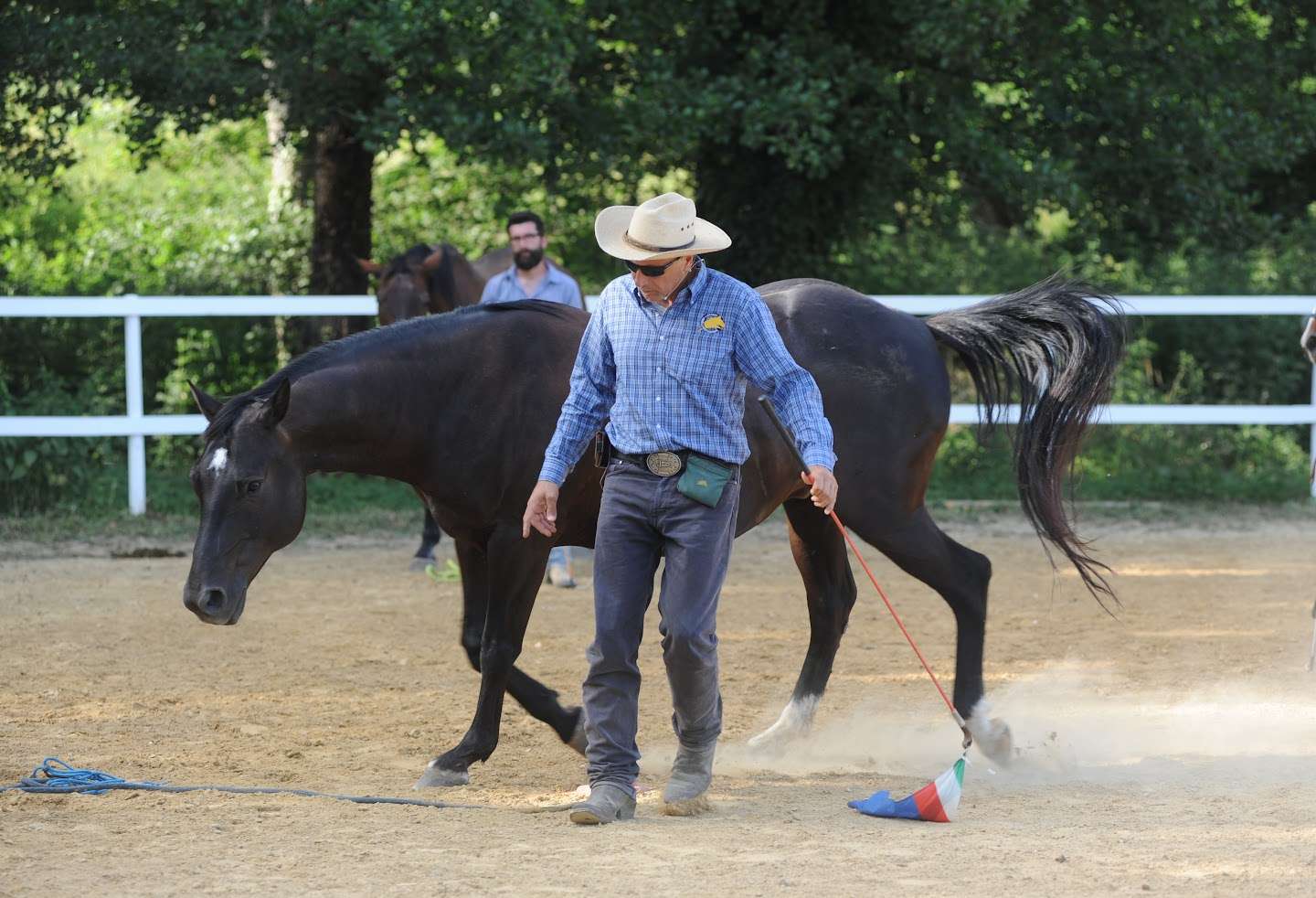 Cavallo senza capezza che cammina accanto a Sergio Matteoni seguendo il suo linguaggio del corpo