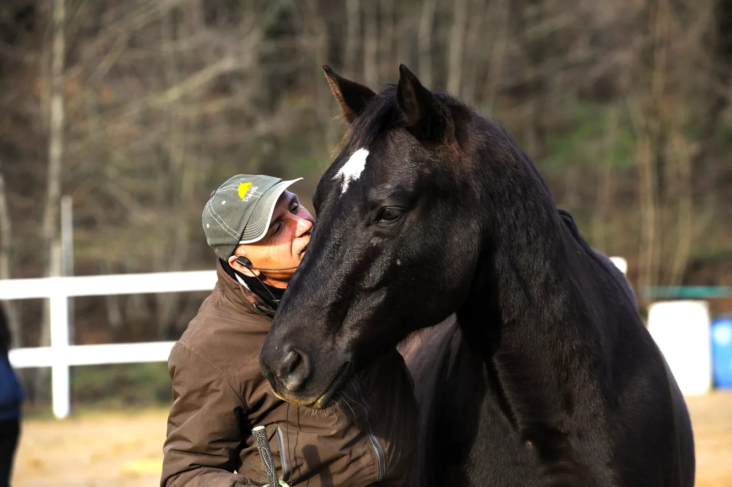Cavaliera che appoggia il viso alla testa del suo cavallo