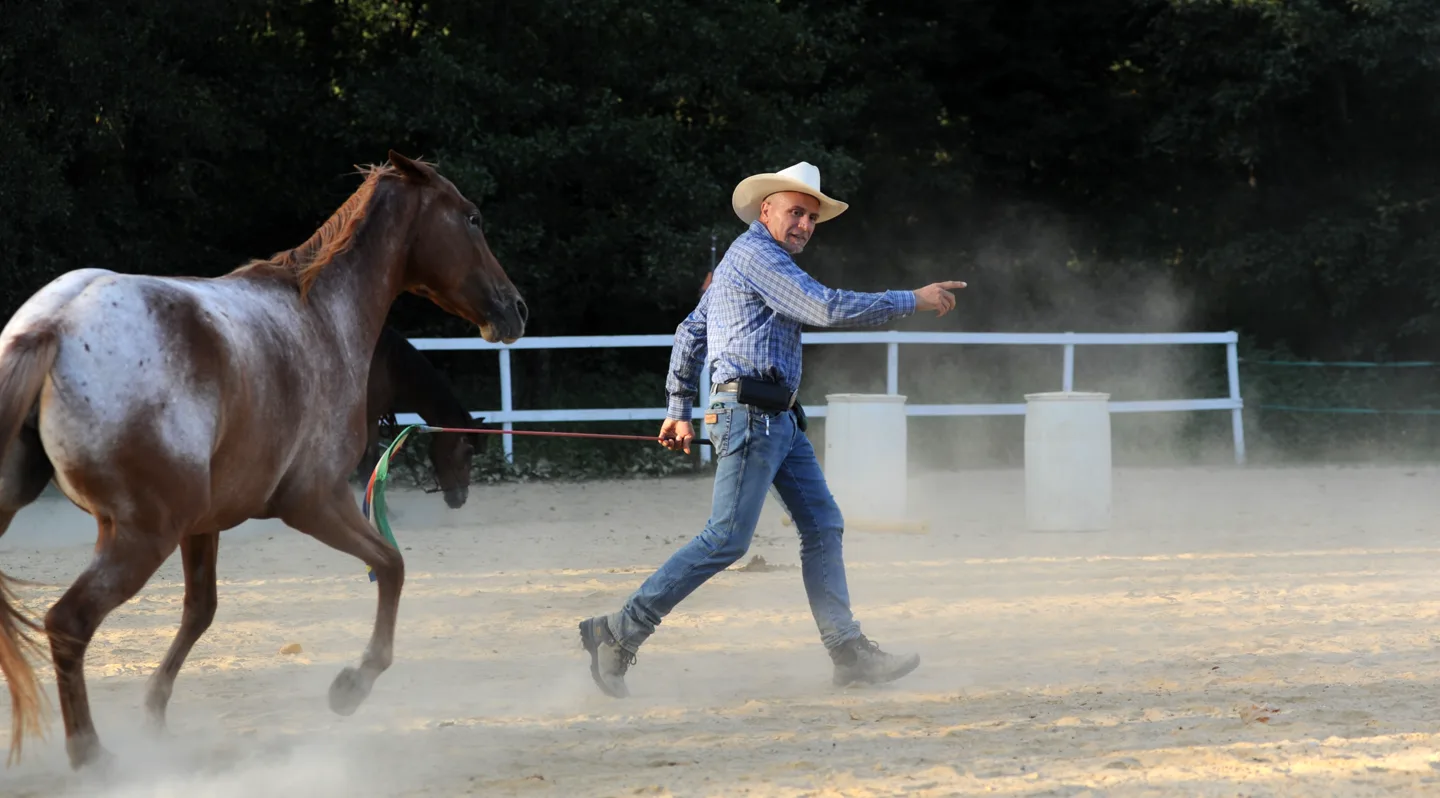 Cavallo che si muove con energia alla corda lunga accanto a Sergio Matteoni