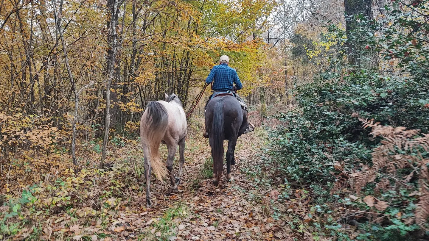 Due cavalieri in passeggiata nel bosco d'autunno