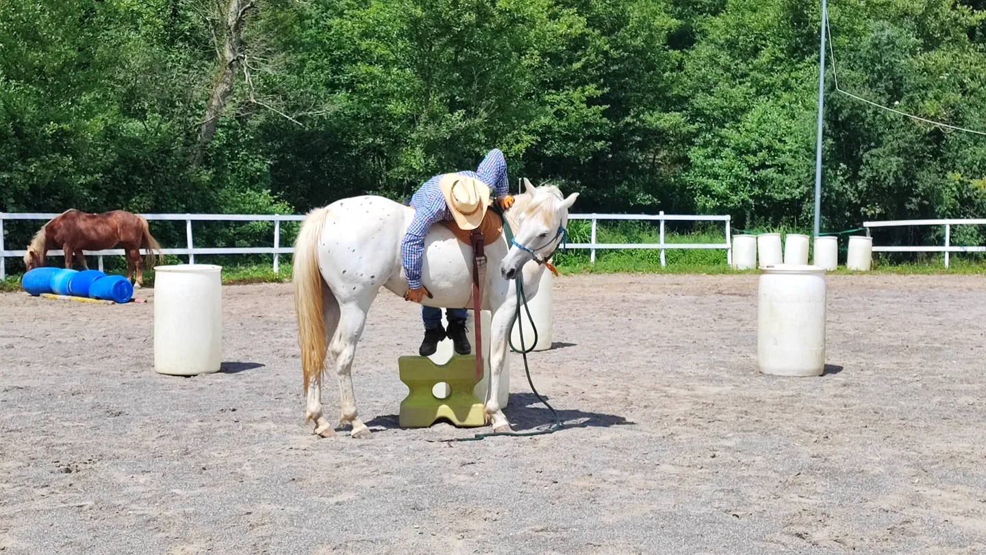 Allieva che sale in sella dal montatoio accanto a un cavallo fermo