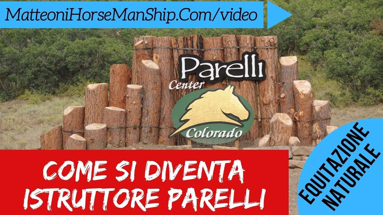 Come si diventa istruttore Parelli