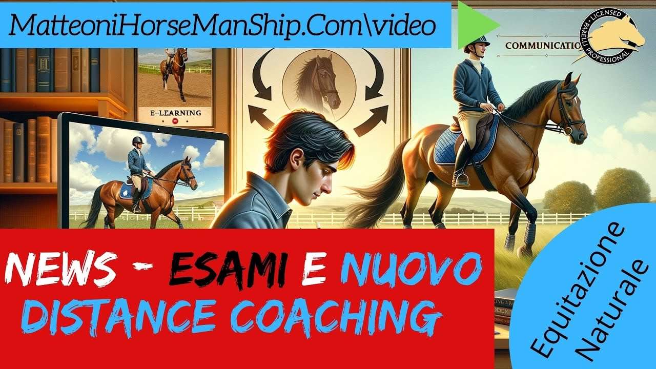 Come funziona il Distance Coaching