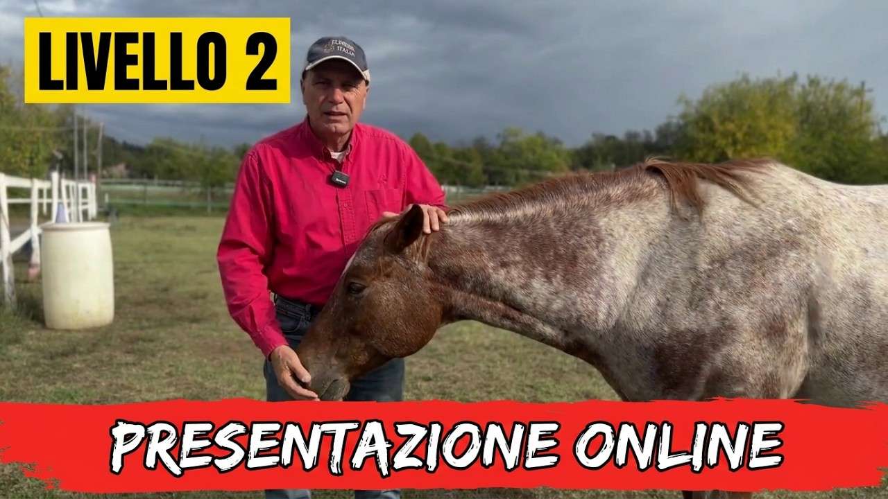 La presentazione dell'Academy Livello 2 OnLine